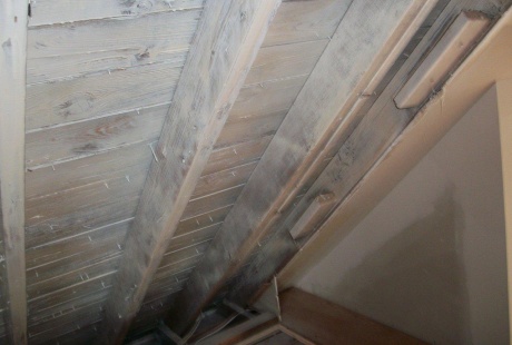 Structural damages to building due to mold damage after TERS building restoration experts