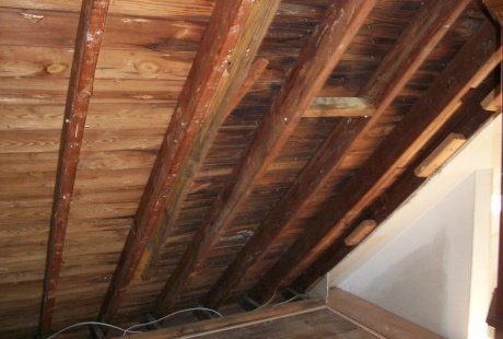 Structural damages to building due to mold damage before TERS building restoration experts