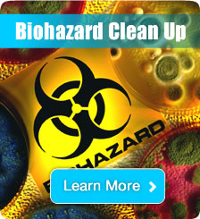 Biohazard cleanup