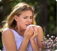 Studies show that poor indoor air quality, mold, dust mites, and other environmental pollutants are influencing the severity of asthma and allergic reactions