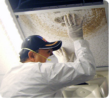 TERS worker performing an indoor air quality investigation