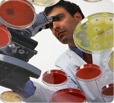 TERS can assess, inspect, and remedy mold contaminations in your residence, office building, or commercial property TERS can assess, inspect, and remedy mold contaminations in your residence, office building, or commercial property
