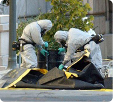 Asbestos identification, testing, and removal