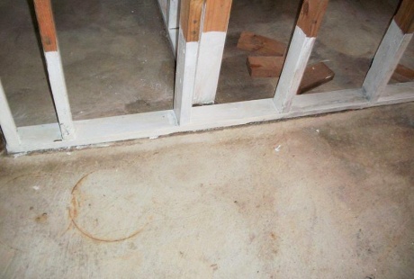 Mold damage in basement after TERS building restoration experts