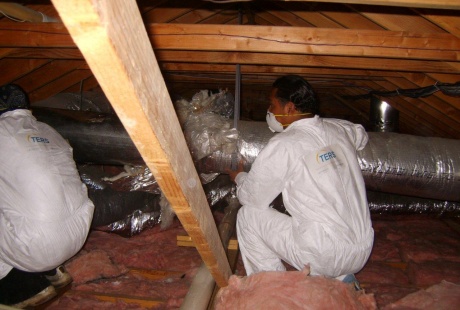 Residential Home Restoration
