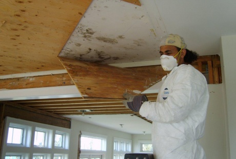Residential Home Restoration