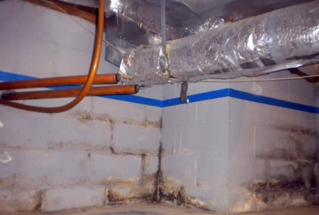 Mold damage to basement wall before TERS building restoration experts