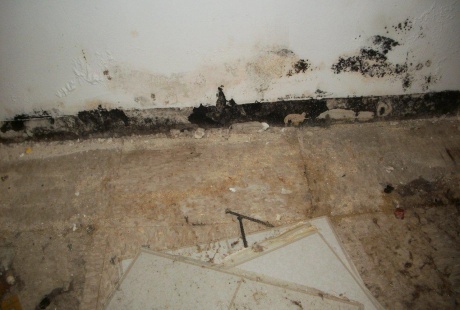 Mold damage in basement before TERS building restoration experts