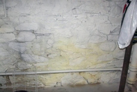 Building water damage restoration before TERS mold experts