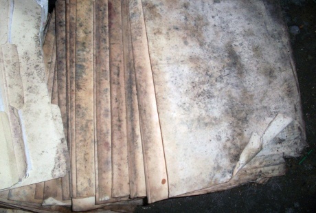 Mold damaged documents before TERS provides document restoration services