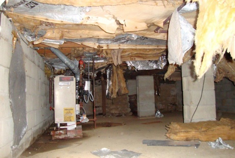 Basement water damage restoration before TERS building restoration services